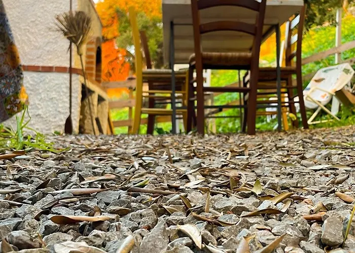 Apartman Canonica Dimore *